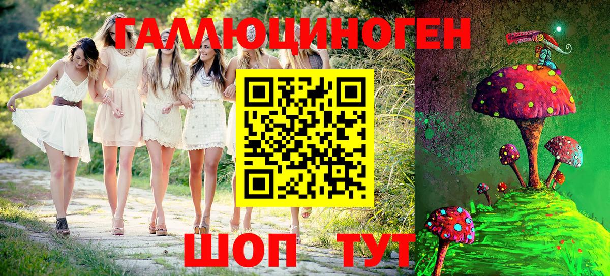 Бузулук  хочу   Вход с VPN  Псилоцибиновые грибы Psilocybe 